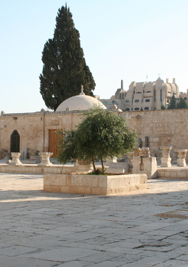 The Prophets Night Journey – Makkah to Jerusalem